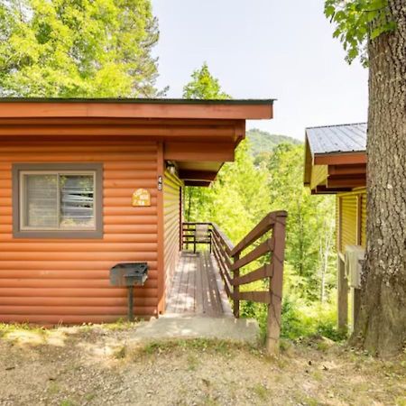 Lazy Bear Cabin Near Nantahala Outdoor Center And Брайсон-Сити Экстерьер фото